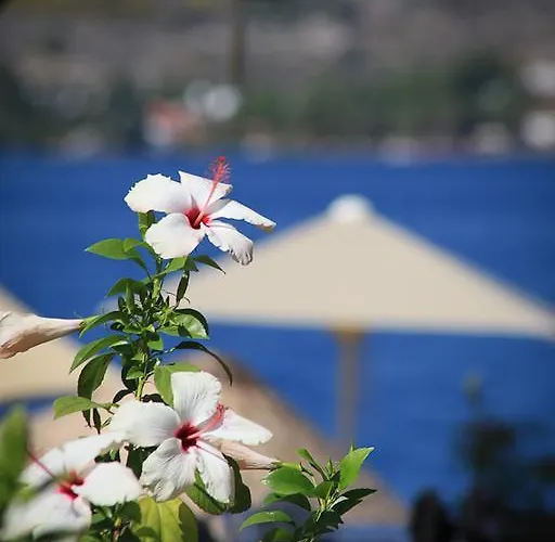 Beyaz Iskele & Restaurant Hotel