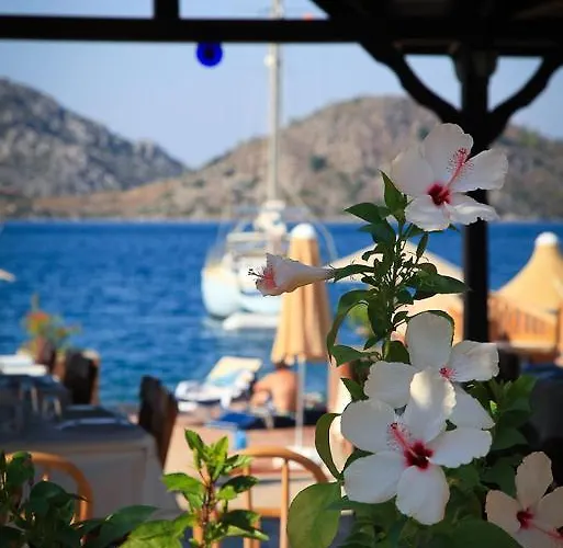 Hotel Beyaz Iskele & Restaurant 5*