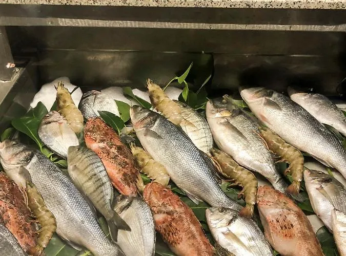 Hotel Beyaz Iskele & Restaurant Selimiye (Aegean)