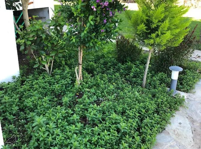 Beyaz Iskele & Restaurant 5*